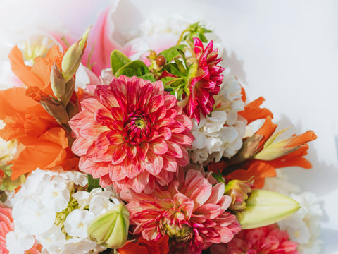 Offrir des fleurs sans occasion : pourquoi c’est le plus beau des gestes