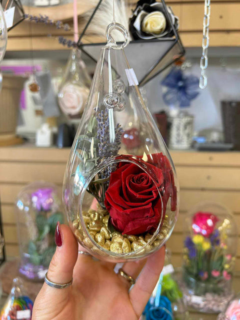 Rose éternelle rouge