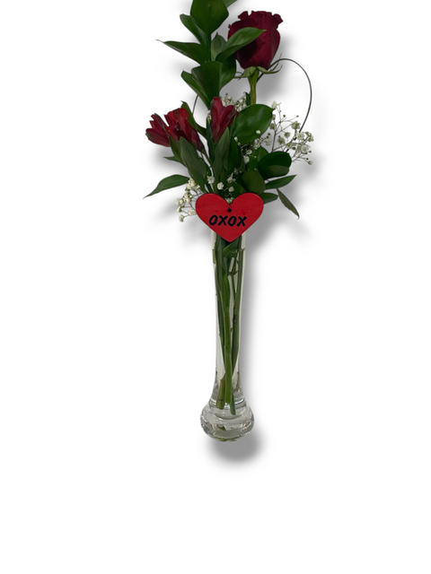 Rose xoxo