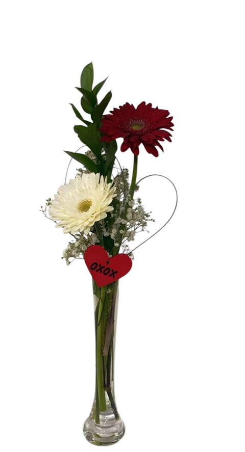 Petit arrangement avec gerberas rouge et blanc, gypsophile, feuillage et cœur rouge xoxo dans vase étroit en verre.
