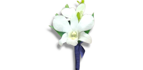 Boutonnière avec orchidée blanche et feuillage vert, tenue par un ruban marine.