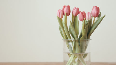 Fleur de Guy : La beauté des fleurs, tout simplement.