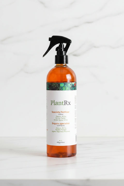 Vaporisateur d'engrais foliaire PlantRx pour plantes d'intérieur, bouteille ambrée 500ml avec étiquette blanche et illustration de feuillage vert