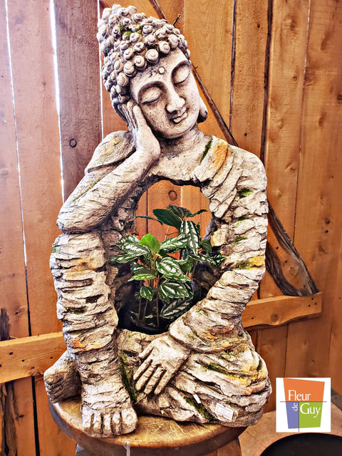 Jardinière de Bouddha Thaïlandais