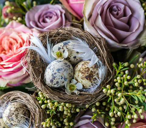 Pâques en fleurs : Accueillez le printemps avec douceur