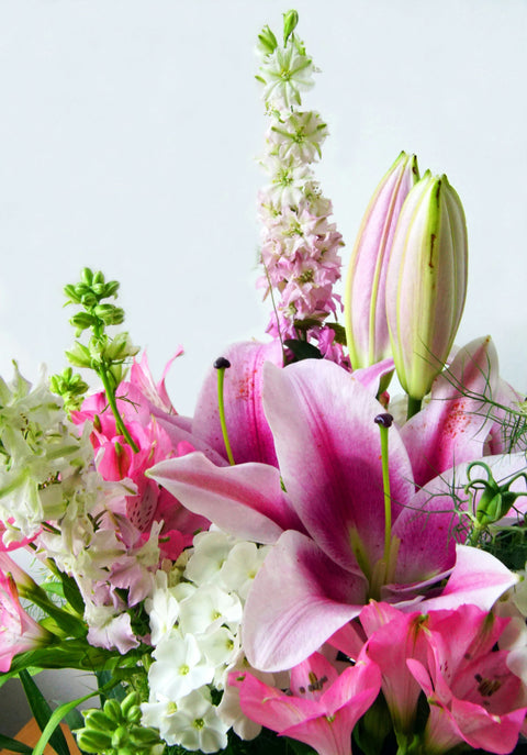 Les fleurs parfaites pour illuminer votre maison en février et mars