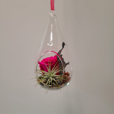 Rose éternelle