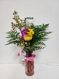 Rose multicolor dans un vase et sa peluche