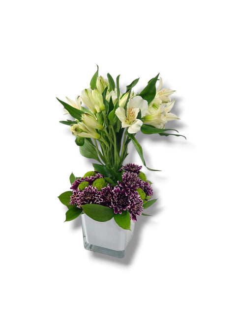 Arrangement floral avec alstroemerias crème, chrysanthèmes violets et pompons verts dans un vase blanc

