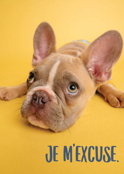 Carte de souhaits « Je m’excuse » avec chiot, format 5 x 7, imprimée au Canada
