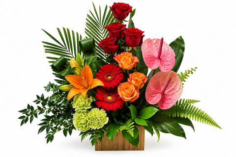Élan Tropical – Arrangement moderne et coloré : L20