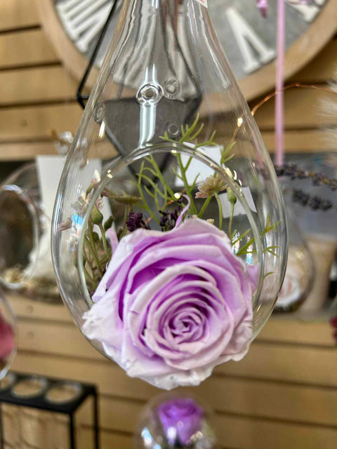 Rose éternelle mauve
