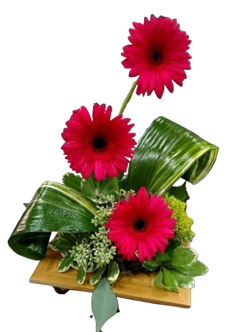 Arrangement floral moderne avec trois gerberas fuchsia et feuillage artistique sur base en bois.

