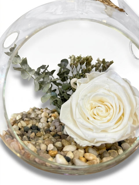 Rose éternelle blanche