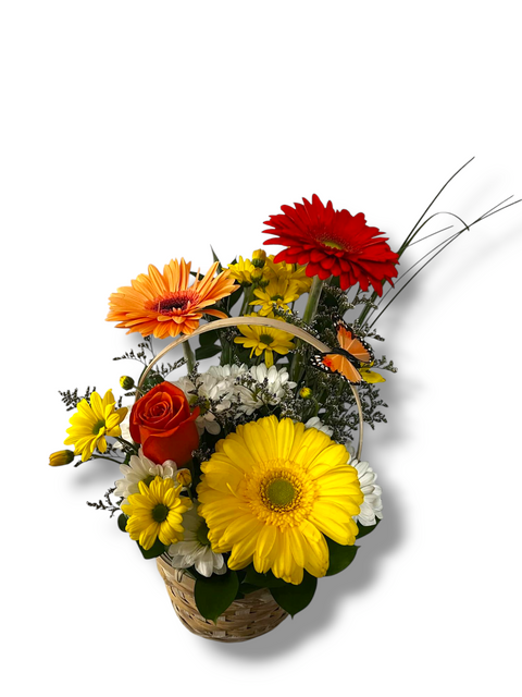 Arrangement floral dans un panier avec gerberas jaunes, orange et rouges, marguerites et rose orange – style ensoleillé et naturel.