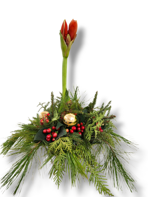 Arrangement floral de Noël avec tige d’amaryllis rouge, verdure hivernale, boules dorées et baies rouges – modèle « Majesté de Noël » par Fleur de Guy.