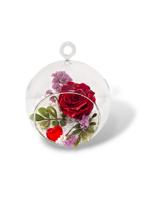 Cœur Éternel – Rose éternelle rouge sous cloche