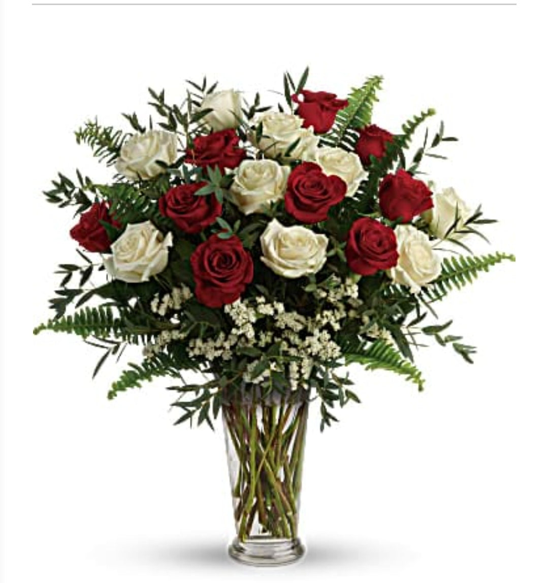 Rose rouge et blanche avec vase